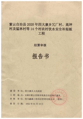 【咨询/造价】某农村饮水安全工程结算审核服务