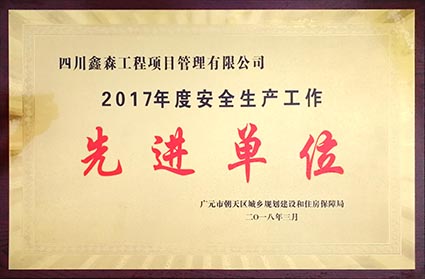 2017年度安全生产工作先进单位